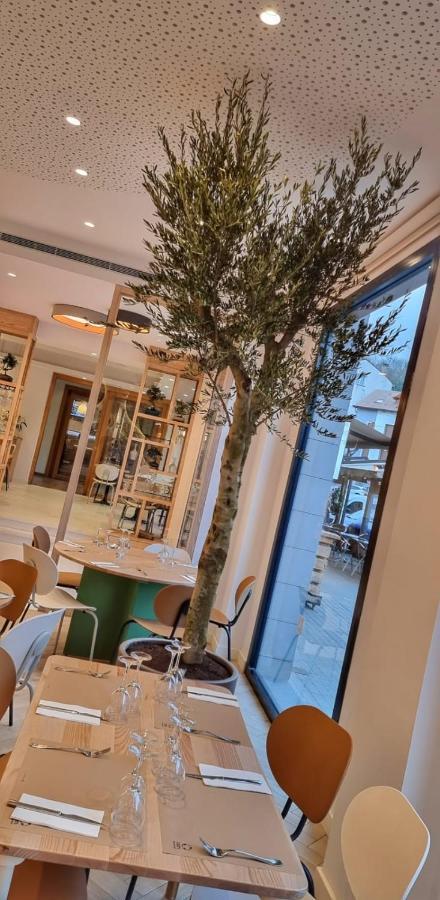Hotel Dos Rios Origen Aínsa Zewnętrze zdjęcie